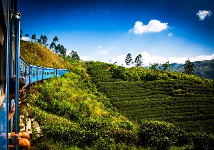 Zug Nuwara Eliya Kan_32_2.jpg