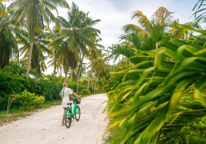 environment in the S_128_1.jpg