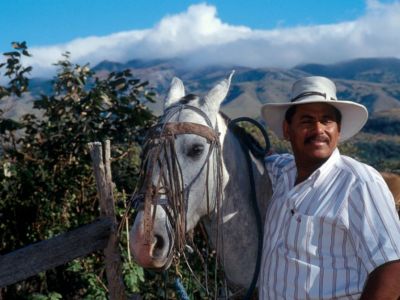 rincon-horse