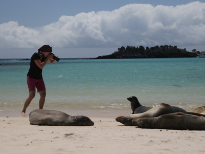 galapagos-sea-lion-21