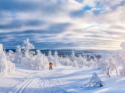 winterlandschaft-schweden