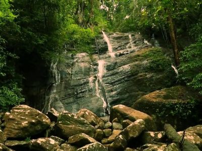 singharaja-forest