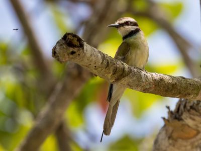 26769344498-f51eed2613-k