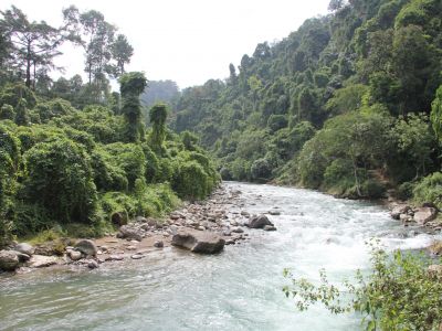 bohorok-sm.jpg