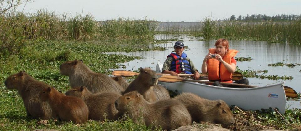 1338382181_canoe_safari.jpg