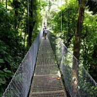 hängebrücke-costa-rica-monteverde