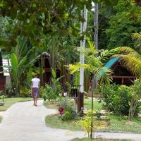 danpaati-river-lodge