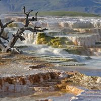 mammoth-hot-spring-yellowston-credit-osamu-hoshino-wyoming-travel-und-tourism