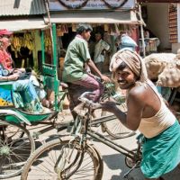 rickshaw-in-market