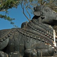 Nandi2 nandi2