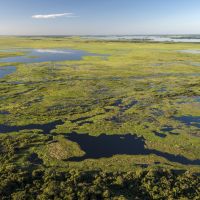 nordpantanal-von-oben