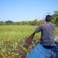 boot-durch-den-dschungel