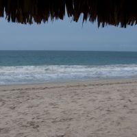 playa-cangrejo
