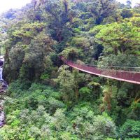 hängebrücken-in-panama