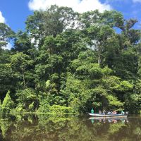 tortuguero-boat