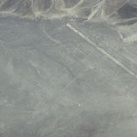 lineas-nasca.jpg