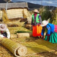 uros