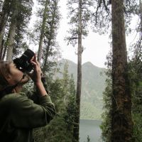 tag-4-bosque.jpg