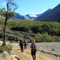 tag-11-fitzroy.jpg
