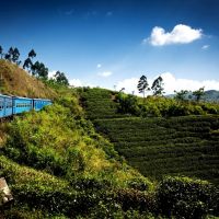 train-ride