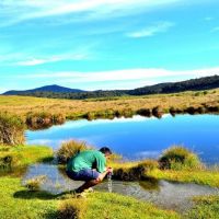 horton-plains-