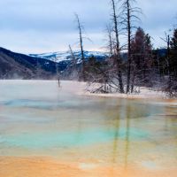 mammoth-hot-springs-2