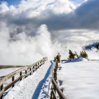 snowshoe paths Yellowstone snowshoe-paths-yellowstone