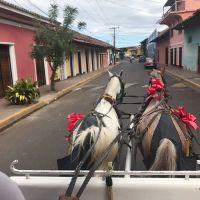 nicaragua-granada-horse-carriagein-granada