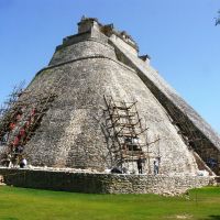 img08 img08