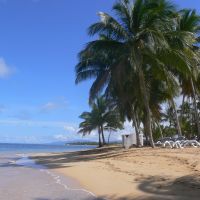 las-terrenas---sandy-beautiful-beach,-ocean,-palm-tree,-shades