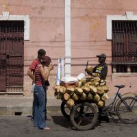 santo-domingo---city-tour,-people,-fruits,-coconut-milk,-drinks