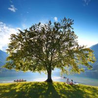 slovenia slovenia