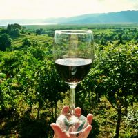 wine-2173239_1920-pixabay.com wine-2173239-1920-pixabay.com