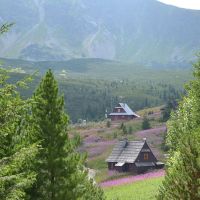 zakopane-berge