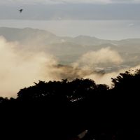 monteverde-blick-auf-golf-von-nicoya