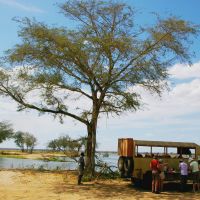 lunch-break-lower-zambezi.jpg