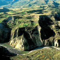 colca-canyon---arequipa.jpg