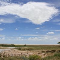 etosha-