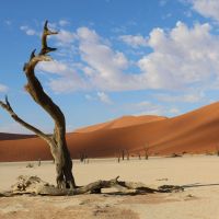sossusvlei