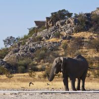wildlife-(16)