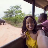 elefant-überquert-die-straße-in-südafrika