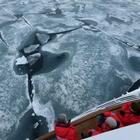 fjl-sea-ice