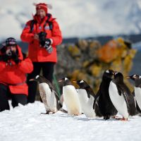Antarctic (2) antarctic-(2)