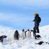 reisende-mit-pinguingruppe.jpg