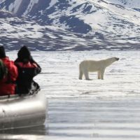 beiboot-mit-eisbären.jpg