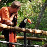 vogel-im-vogelpark---zig-koch.jpg