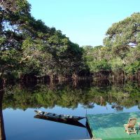 See im Amazonasgebiet see-im-amazonasgebiet