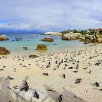 boulders-beach