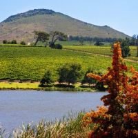 winelands