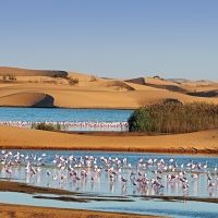 walvisbay-de